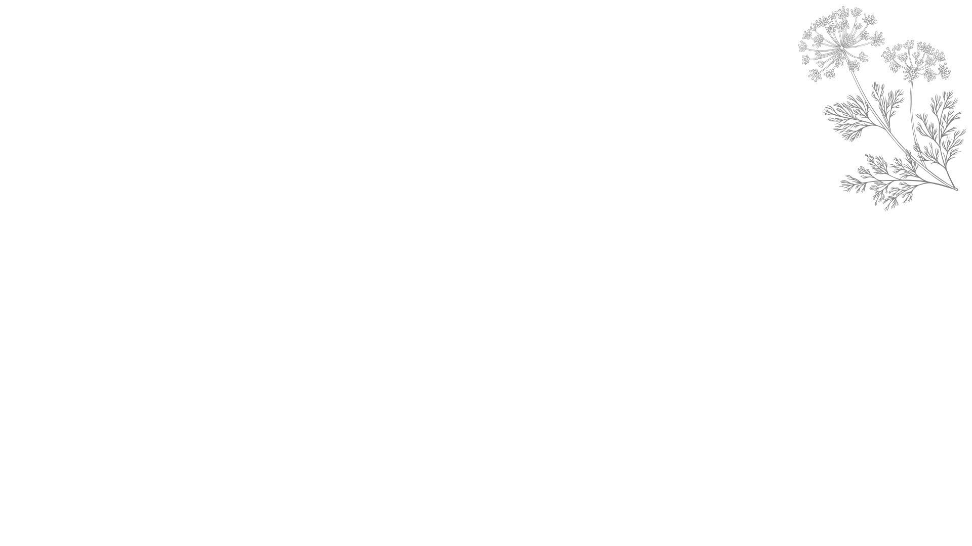 11-begleitung