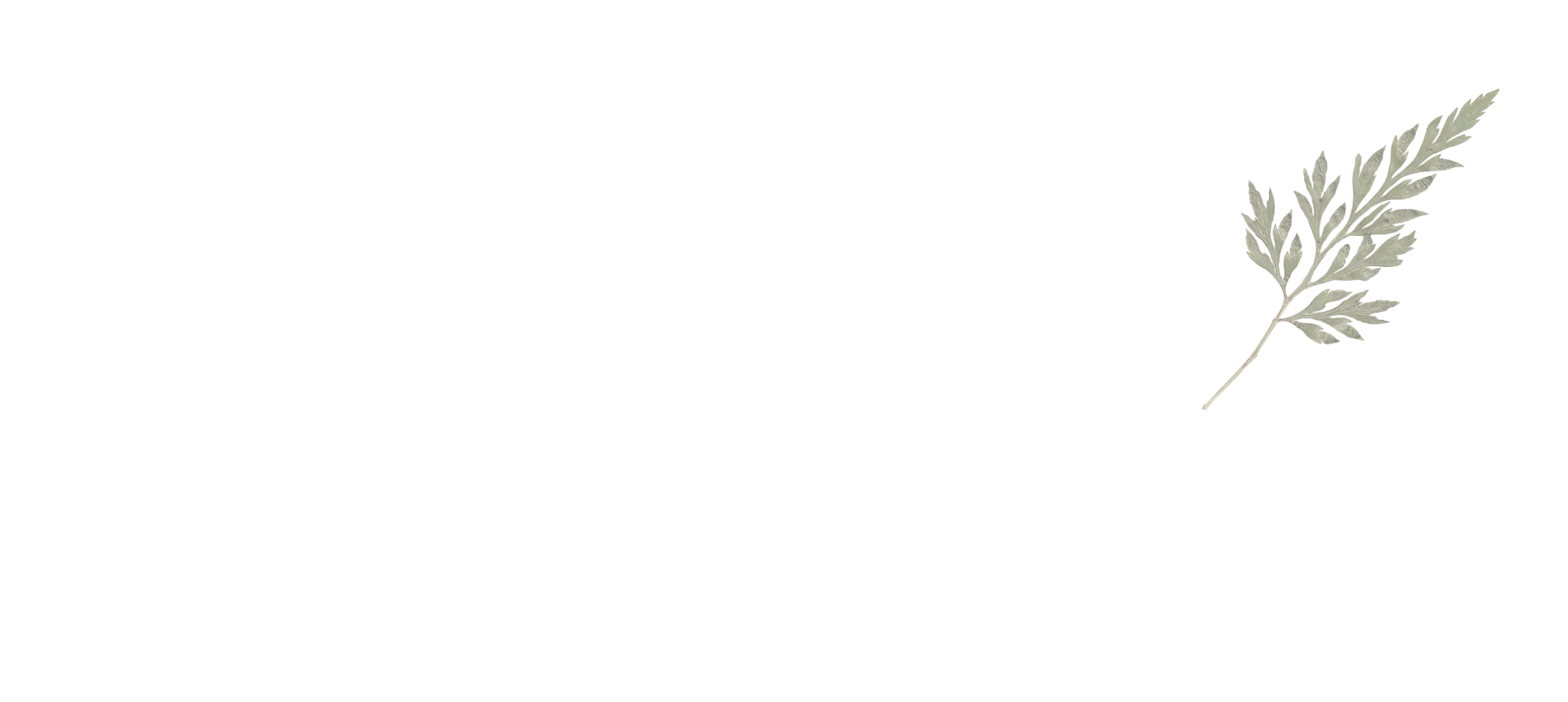 3.1.69c8e0fa0ddcd