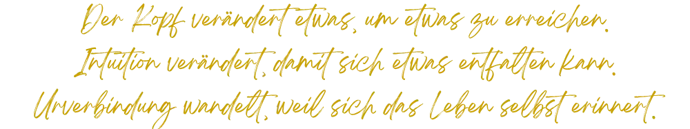 Zitat
